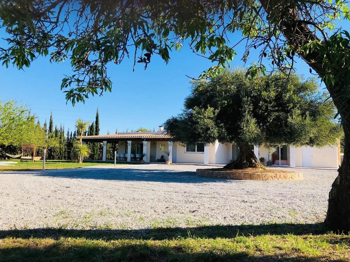 Bed and Breakfast Justbeandbeibiza San Antonio  San Antonio (Ibiza)