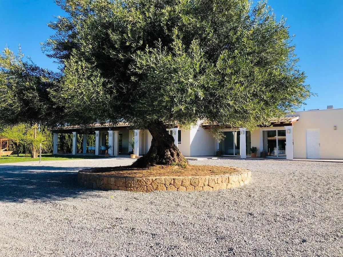 Bed and Breakfast Justbeandbeibiza San Antonio  0*, San Antonio (Ibiza)