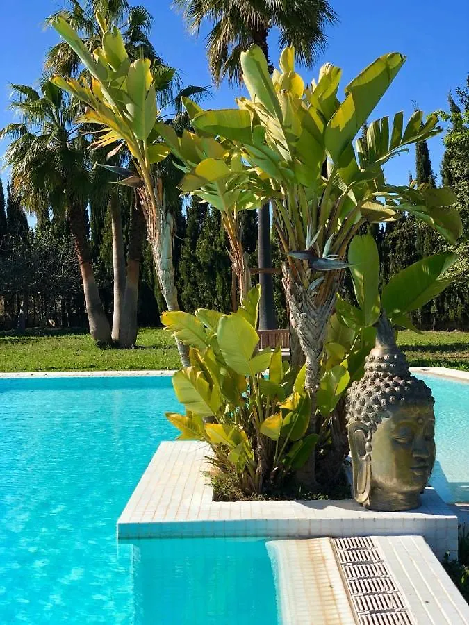 샌안토니오 Justbeandbeibiza B&B 스페인